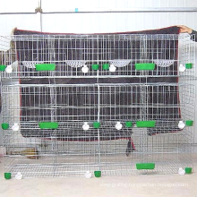 For Sale  high quality pigeon cages animal feeds poultry farming equipment. ( Lower  Price)